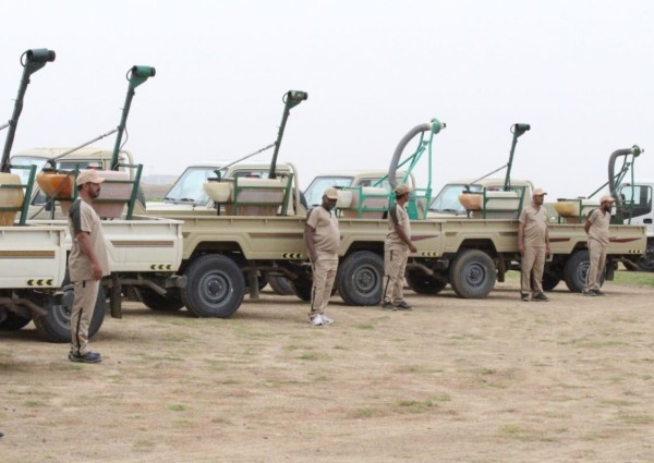 “البيئة” تكافح الجراد الصحراوي على مساحة 20 ألف هكتار خلال شهر