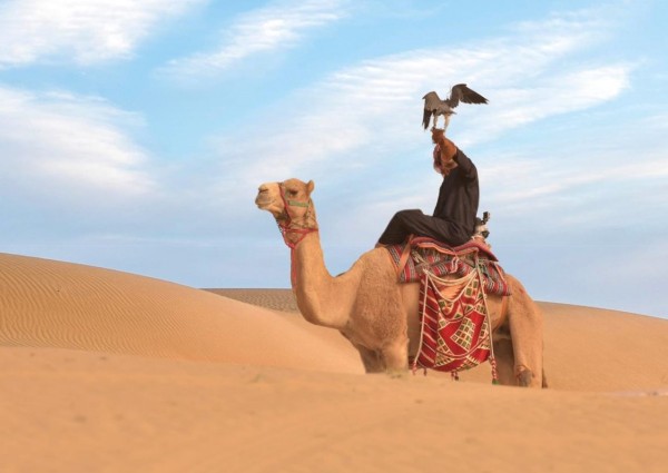 مهرجان سفاري بقيق يختتم 10 أيام من فعاليات تراث الصحراء والأصالة العربية بــ 200 ألف زائر