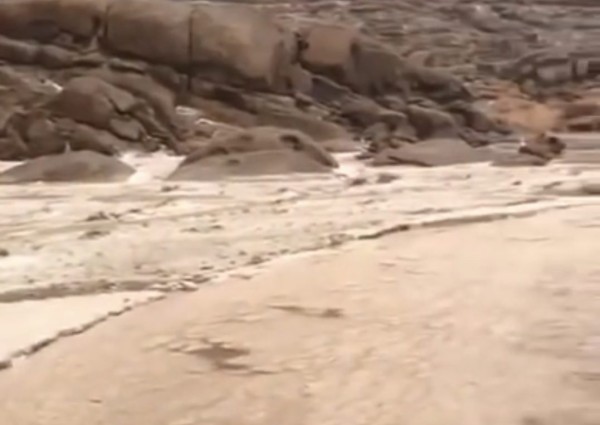 شاهد.. مواطنون يوثقون تحول الأودية لطبقات ثلجية وجريان السيول في “دخنة القصيم”