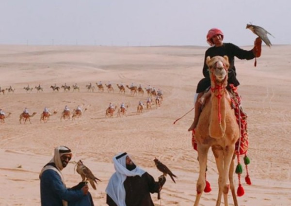 القنوات الفضائية تبدع في نقل فعاليات مهرجان الجنادرية ومهرجان سفاري بقيق