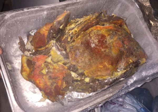 ضبط لحوم وكبد فاسدة ومجهولة المصدر بمطاعم شفا الطائف