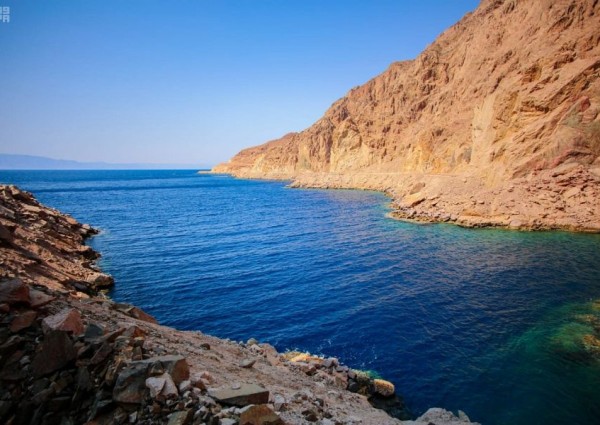 تأسيس شركة مساهمة مقفلة لتطوير “نيوم” مملوكة لصندوق الاستثمارات العامة