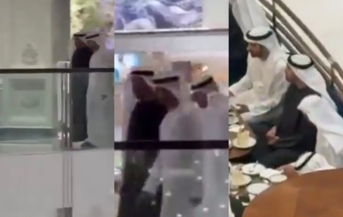 تفاعل واسع مع ظهور مفاجئ لرئيس الإمارات في دبي مول (شاهد)