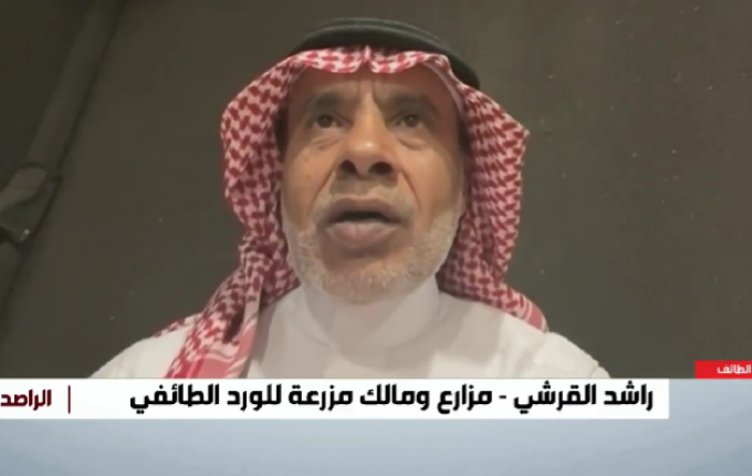 سعرها خيالي.. القرشي يكشف عن “أغلى تولة” في تاريخ الورد الطائفي (شاهد)