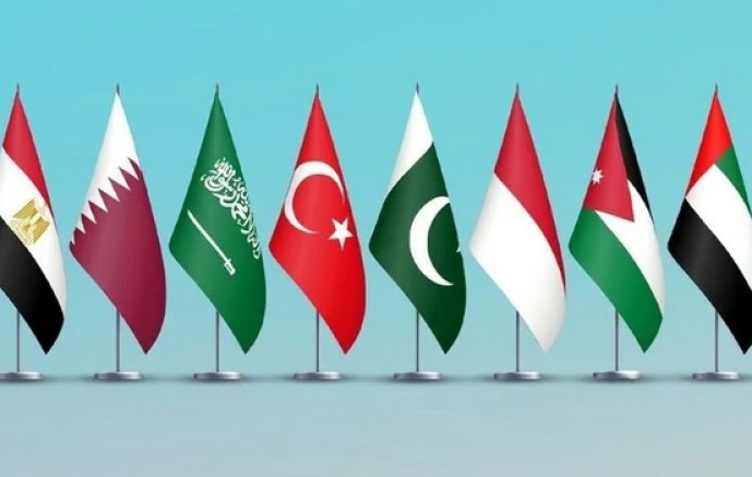 السعودية ومصر وتركيا ودول أخرى تستنكر انتهاكات بحق محتجزي أسطول غزة
