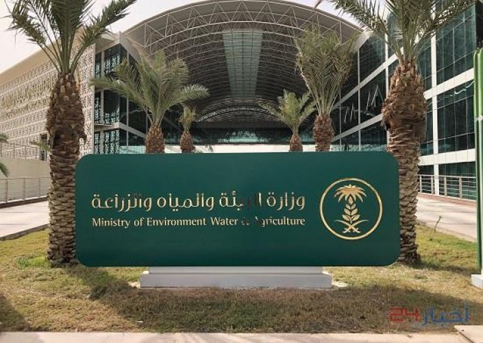 “البيئة” تعلن عن 100 وظيفة شاغرة للرجال والنساء