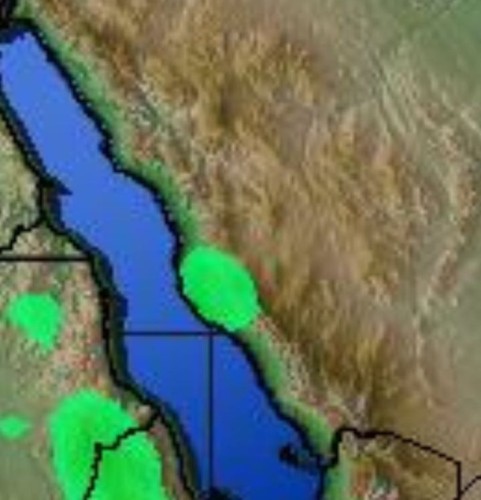 “الحربي” محذّرًا سكان مكة: أمطارٌ غزيرة ورياحٌ تسقط الأشجار والهناقر.. غدًا