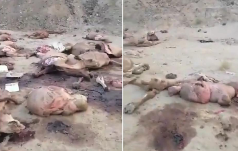 مواطن يوثق مشهد كارثي بالقرب من مركز الشميسي في مكة