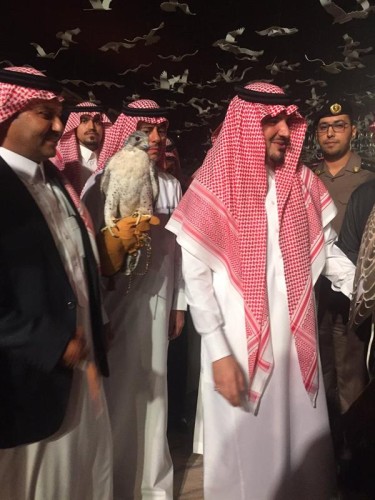 بالفيديو.. زوار معرض الصقور يحتفون بوزير الداخلية ويلتقطون صور سيلفي معه