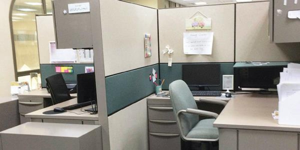 مصادر: توجيهات بسحب قرار فصل الموظف المنقطع عن عمله بسبب التوقيف