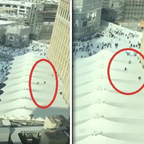 شاهد .. أطفال يلعبون ويتقافزون على سطح خيام بالقرب من المسجد الحرام!