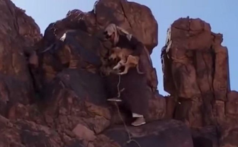 في تصرف إنساني.. فيديو لمواطن ينقذ كلباً علق بين صخرتين في جبال حائل