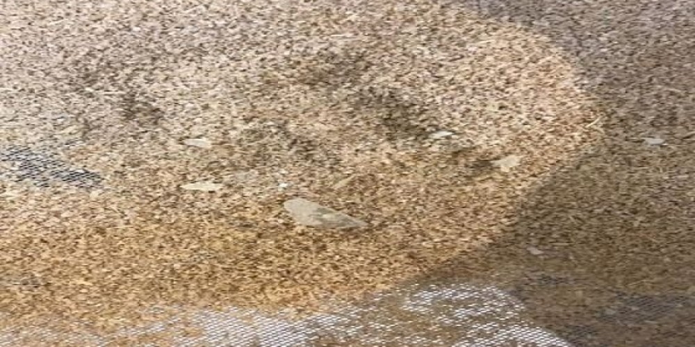 مواطن يشتري دقيق مخلوط بقطع زجاج ويبلغ عن المطحنة