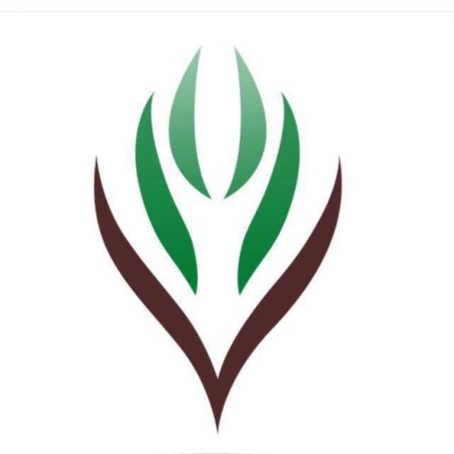 فعاليات لجنة التنمية الاجتماعية بحي السلام.. خلال الأسبوع الحالي