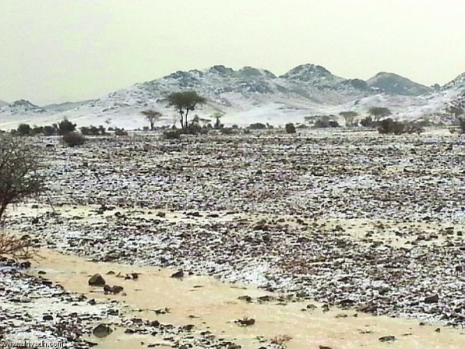 «بالفيديو والصور»البَرد يُغطي جبل الرأس الابيض جنوب حائل