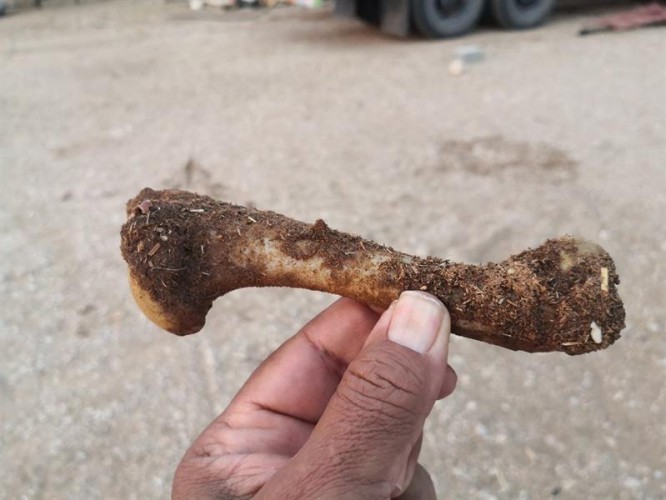 تغريدة مواطن عن سنوات الفقر تثير تفاعلاً واسعاً: هل تتخيل أن تأكل اللحم من هذه العظمة المتسخة؟!