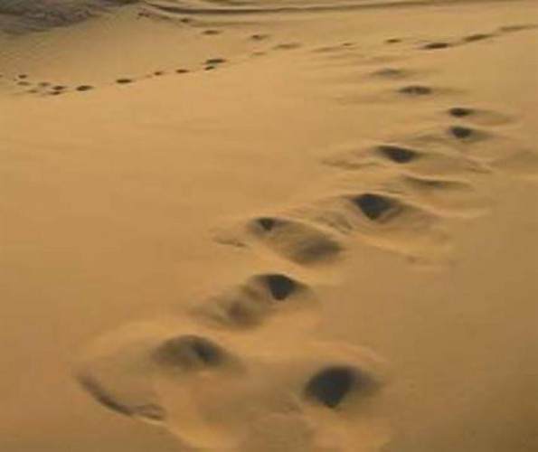 اختفاء مُسن في ظروف غامضة بعد خروجه من شقراء باتجاه الرياض.. والجهات الأمنية تعثر على سيارته