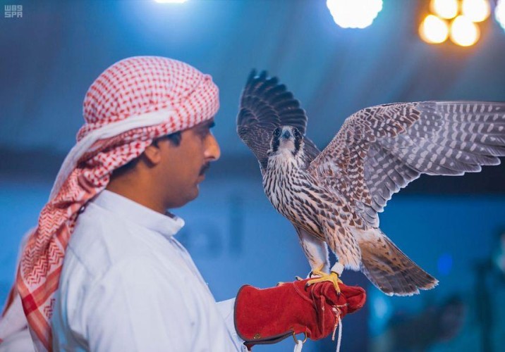 فيديو.. مزاد حفر الباطن للصقور يشهد بيع فرخ شاهين بـ 400 ألف ريال