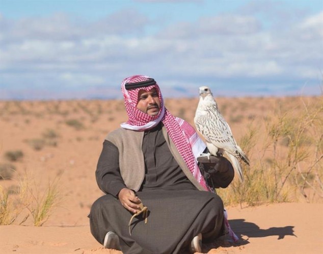 بالصور..الأمير تركي بن محمد يقنص بالصقر النادر الذي أهداه بوتين للملك سلمان