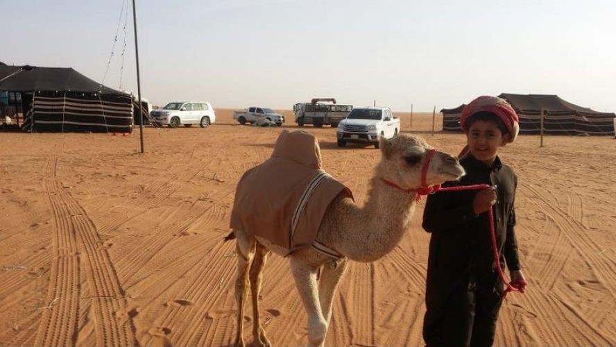 ناقة تختطف انظار زوار مهرجان الراحل الملك عبدالعزيز بشكلها المختلف.