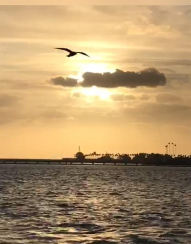 ازدحام كورنيش جدة بالمتنزهين كأنهم على موعد مع كرنفال الغيوم