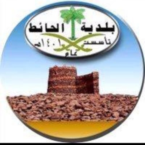 بلدية محافظة الحائط تواصل جولاتها الرقابية على محلات الخضار والفاكهة لمنع تفشي فيروس كورونا