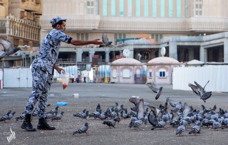 في مشهد مليء بالرحمة والإنسانية .. شاهد: رجل أمن يطعم “حمام الحرم”
