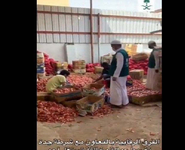 بالفيديو .. “وزارة التجارة”: ضبط عمالة مخالفة تستغل موقع عشوائي لتعبئة وتخزين البصل والبطاطس بشكل مخالف