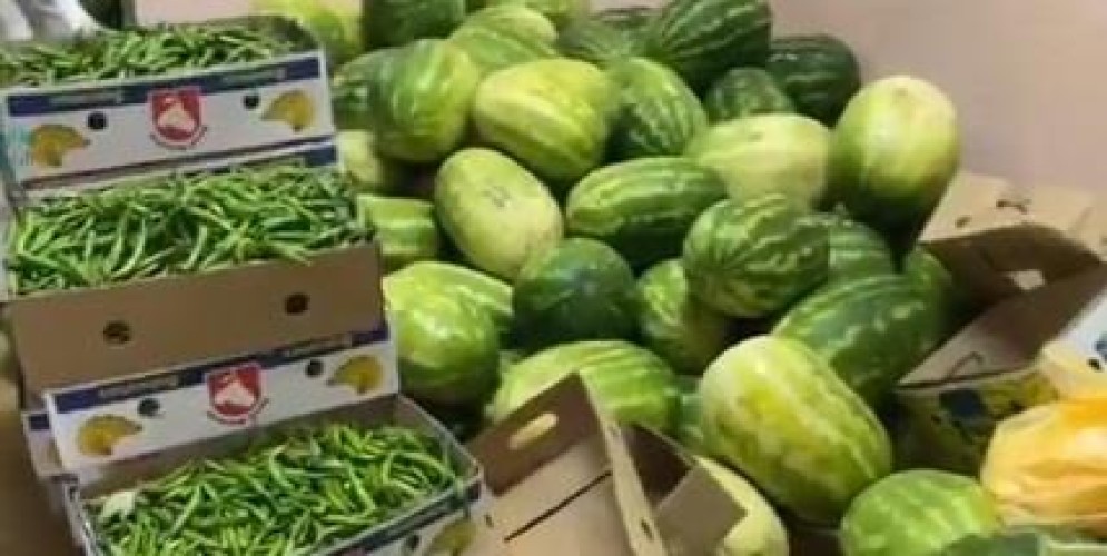 بالفيديو .. أمانة نجران تضبط يكن عمالة يُستخدم كمستودع لتخزين الفواكه والخضراوات