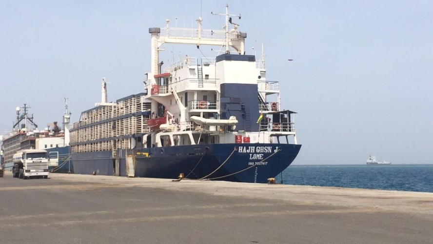 “البيئة”: أكثر من 19 ألف رأس من الضأن تصل من السودان