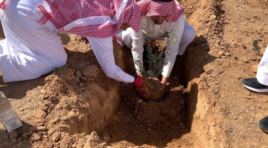 رابطة تبوك الخضراء تتابع برنامجها الأول لتنمية الغطاء النباتي بالمنطقة في اليوم العالمي لمكافحة التصحر