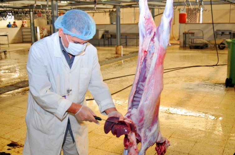 أمانة الرياض تتيح للمطابخ الحصول على تصريح مؤقت لتقديم خدمة ذبح الأضاحي خلال عيد الأضحى