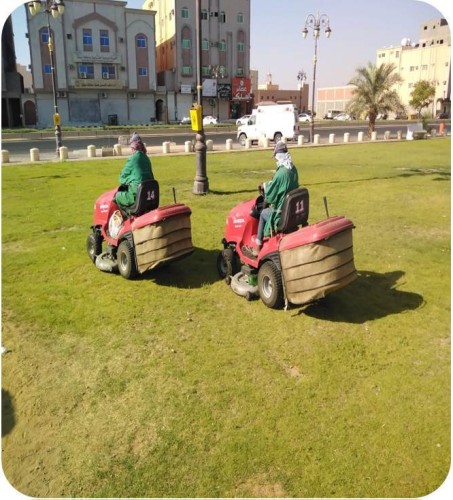 امانة منطقة تبوك …. إستزراع مليون زهرة صيفية وقص وتشكيل ما يزيد عن 2800 شجرة بزروميا