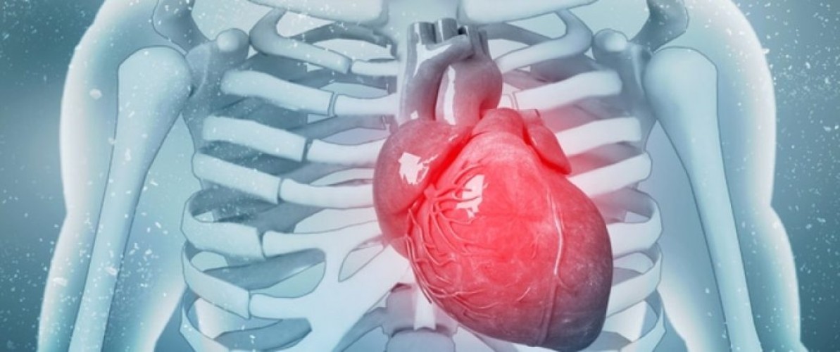 النمر: يكشف عن خلطة لصحة القلب ووقايته من الأمراض