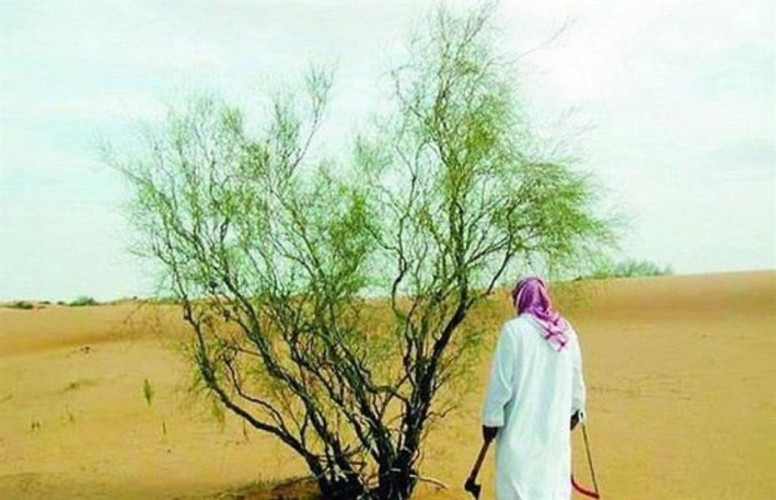 الجريدة الرسمية تنشر نظام البيئة الجديد .. والكشف عن أهدافه!