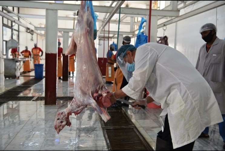 أمانة تبوك تكمل استعداداتها لعيد الأضحى وتتيح لأصحاب المطابخ الحصول على تصريح مؤقت لذبح الأضاحي