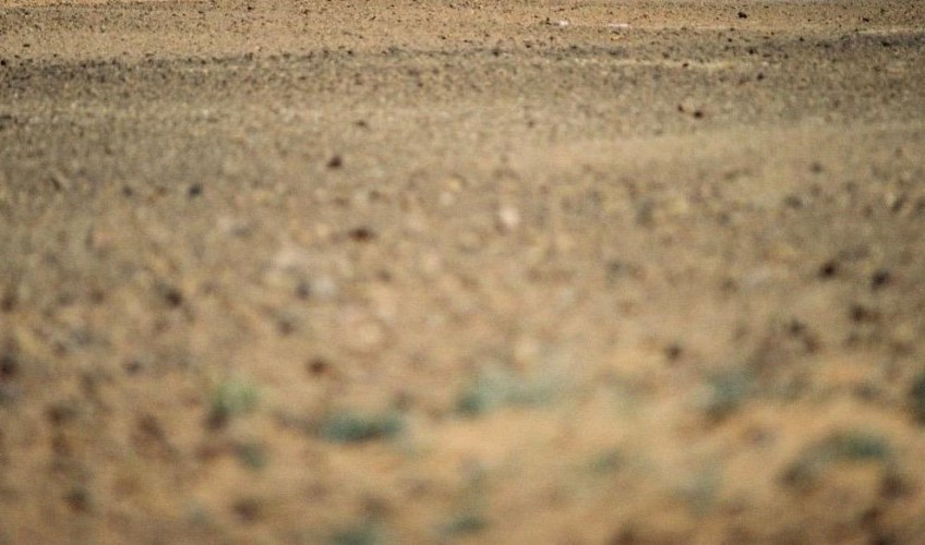 اختفى قبل عيد الأضحى بيومين .. العثور على مفقود “الوسعة” بالقرب من الغريسة في هذه الحالة!