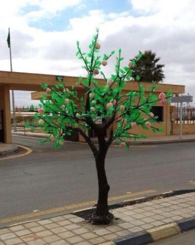 بعد صور متداولة .. أول تعليق من بلدية حائل بشأن تشجير الشوارع بالبلاستيك