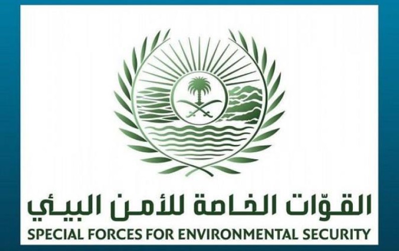 الأمن البيئي: تحديد هوية الأشخاص الذين تم تداول مقطع عن قيامهم بإيذاء سلاحف على أحد شواطئ أملج