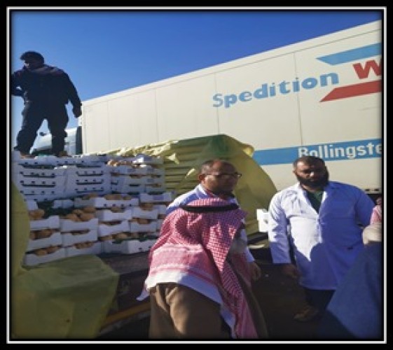 مختبر صحة البيئة الرئيسي والمتنقل بأمانة تبوك يفحص أكثر من عشرة آلاف عينة من خلال 1060 زيارة