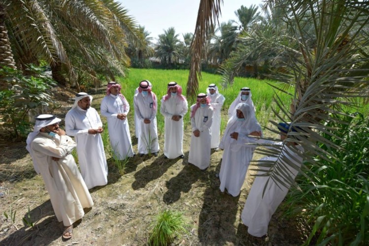 “البيئة” تقيم ندوةً علمية افتراضية ومعرضاً زراعياً بالأحساء.. وتكرِّم عدداً من المزارعين