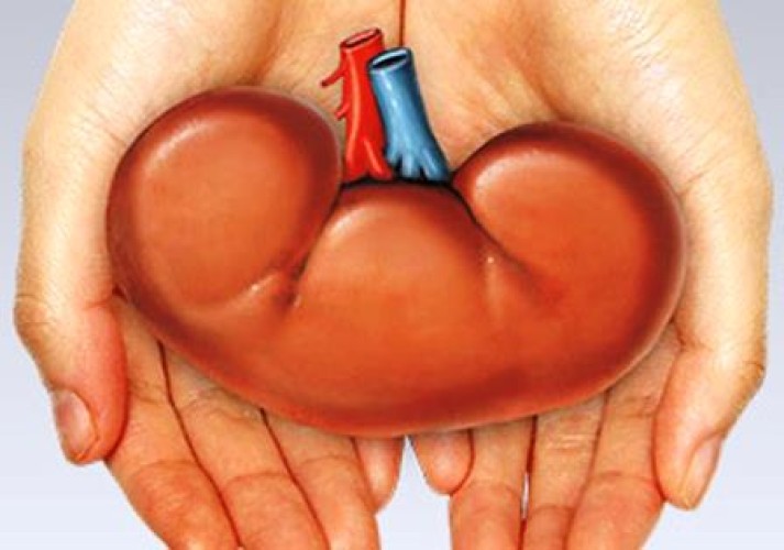 تهاني الرويلي تتبرع بكليتها لوالدتها وتنهي معاناتها مع الفشل الكلوي