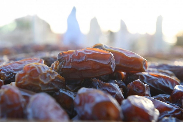 أكثر من 8 آلاف طن من التمور تم بيعها في ” موسم تمور المدينة ” والعجوة أبرزها