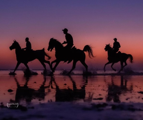 “عيشها ببساطة” قصة غروب يعيشها الزائر على ظهر الخيل
