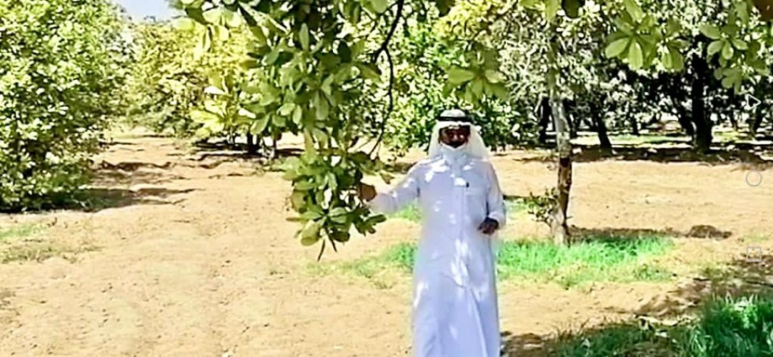 زيارة مدير ادارة تخطيط الابحاث لمركز الأبحاث الزراعية بجازان