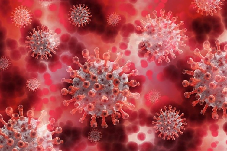 “الصحة”: تسجيل 349 إصابة جديدة بفيروس “كورونا” .. و 16 وفاة