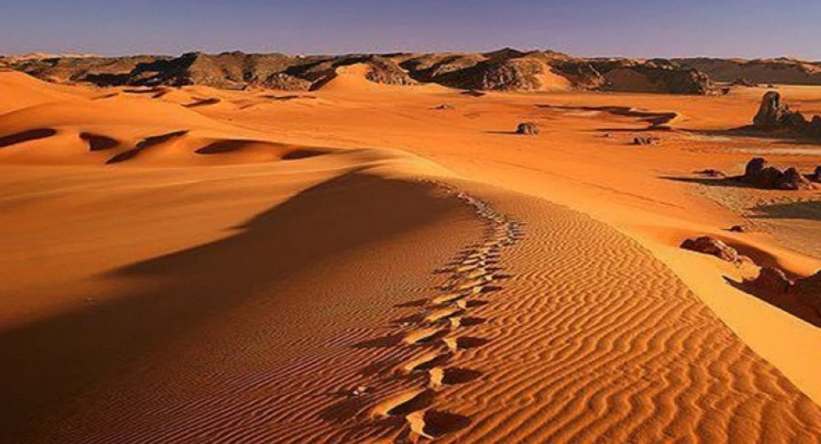 العثور على مفقود خبة المعدي بالقصيم .. والكشف عن حالته الصحية!