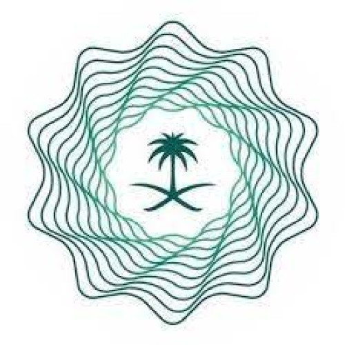 المالية تطلق قنوات دفع إلكترونية إضافية لسداد الرسوم الحكومية