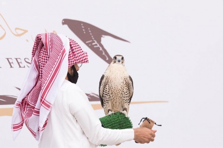 الصقران “أصايل” و “عنيزة” يحسمان شوط مسابقة “الملواح” بمهرجان الملك عبدالعزيز للصقور