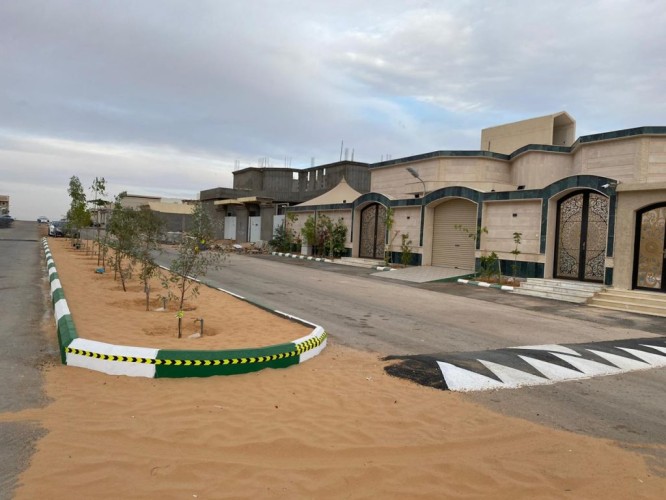 بالصور: مواطن ينفذ مبادرة تشجير وترصيف بشارع أمام منزل بروابي عرعر